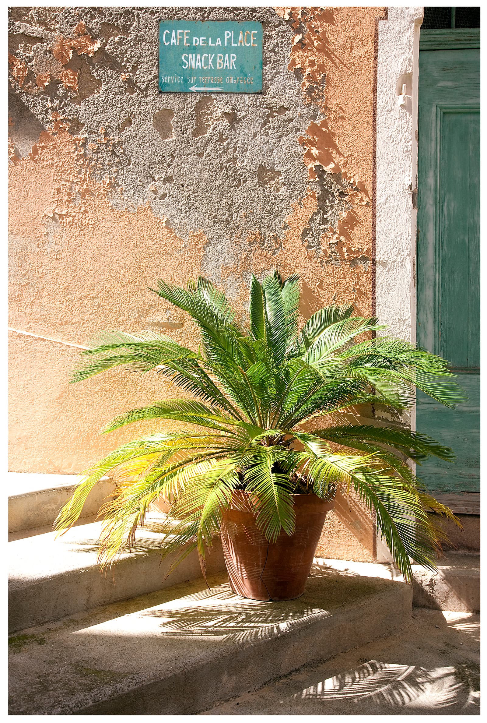 Potted palm against a weathered wall beneath the Café de la Place sign