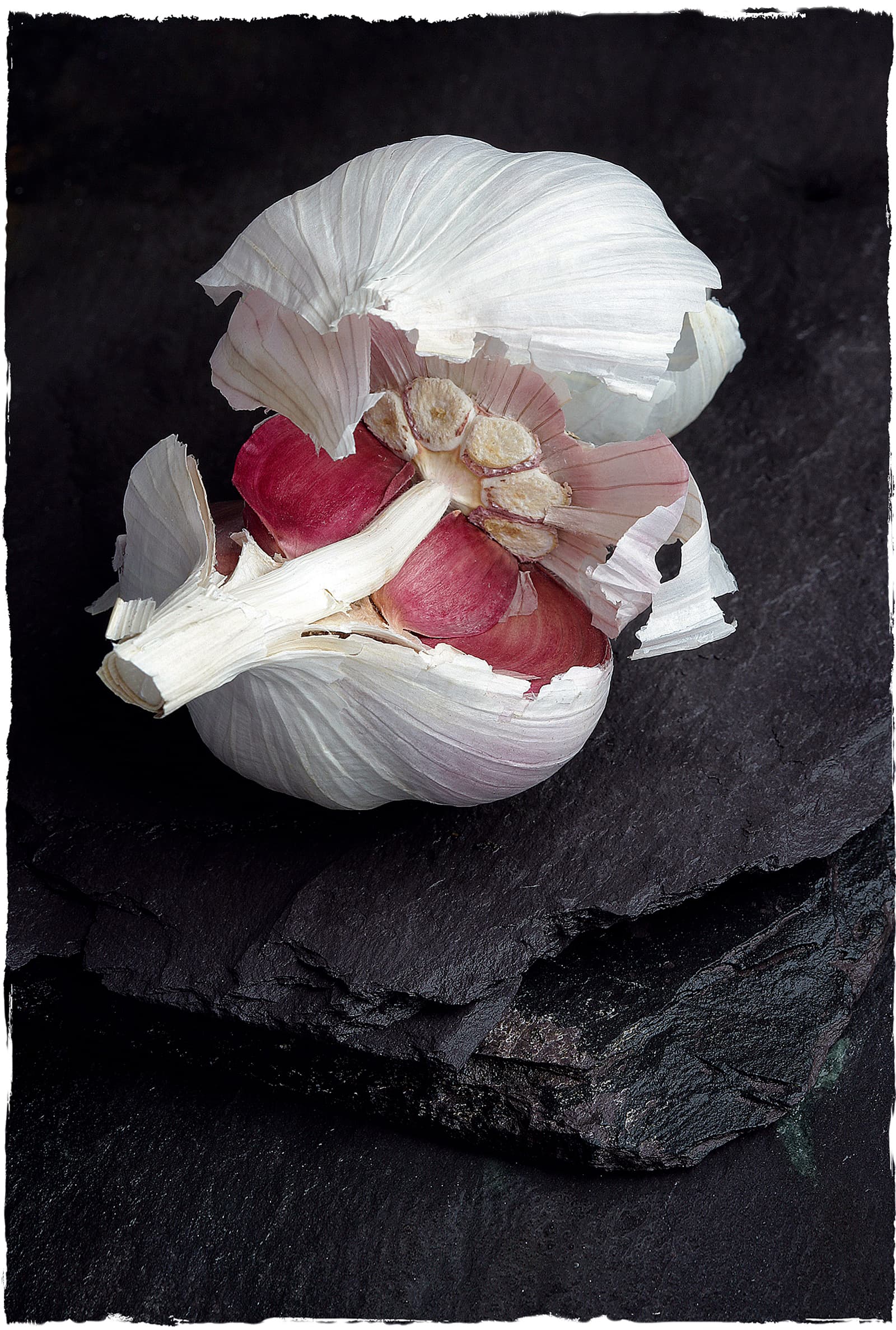 Still life of a garlic bulb split open on dark slate, revealing red-skinned cloves